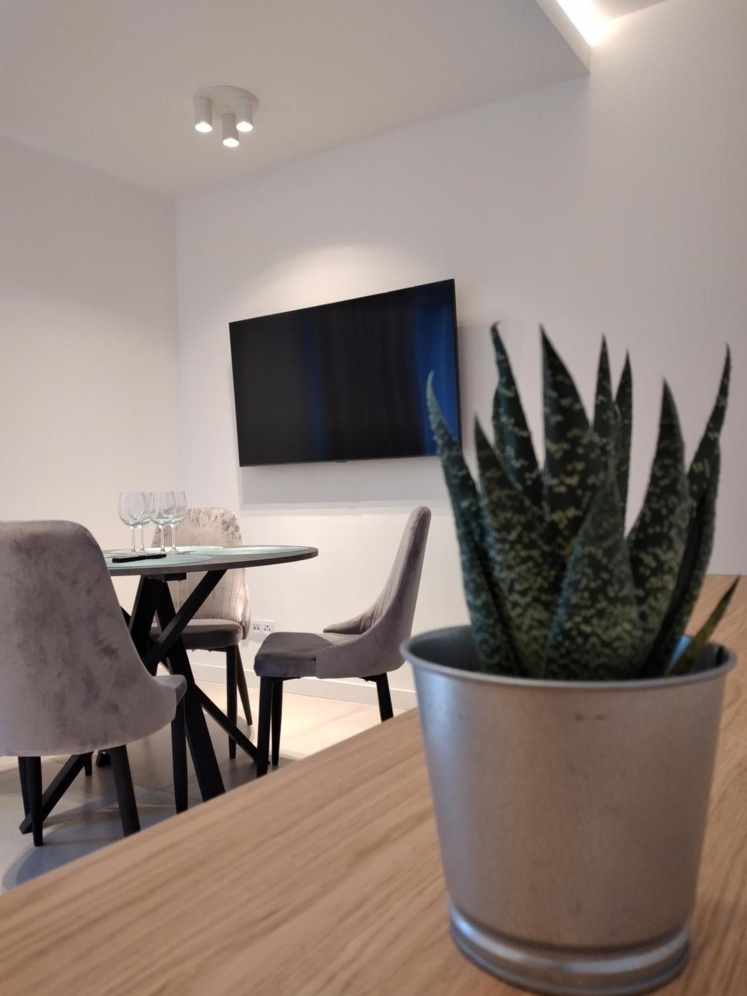 Apartament Zrodlana Ski 300M Świeradów-Zdrój 외부 사진